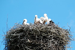 20100829123436_pic.jpg